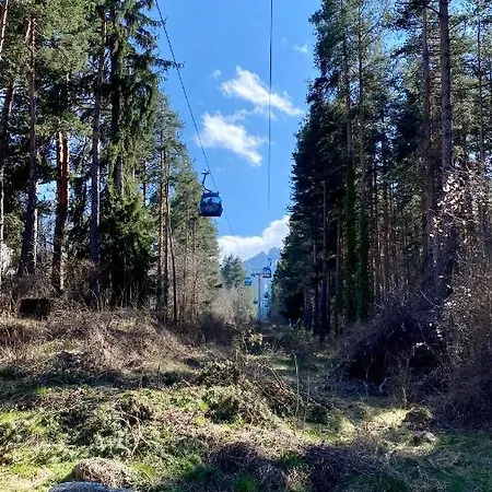 Deluxe 200m From Road * Bansko