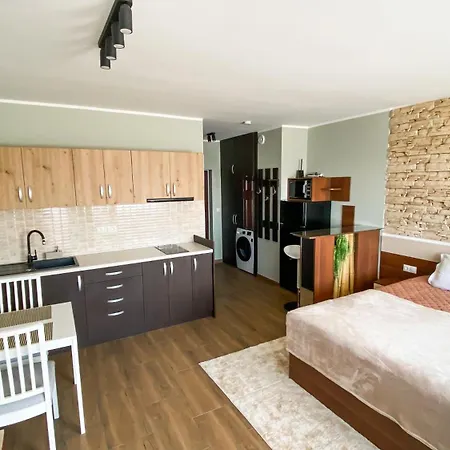 Deluxe 200m From Road * Bansko