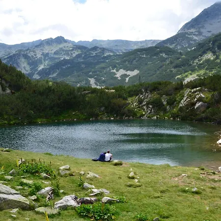 Deluxe 200m From Road * Bansko