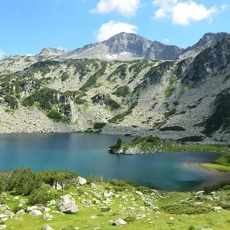 Deluxe 200m From Road Appartement