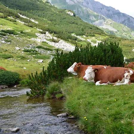 아파트 Deluxe 200m From Road *