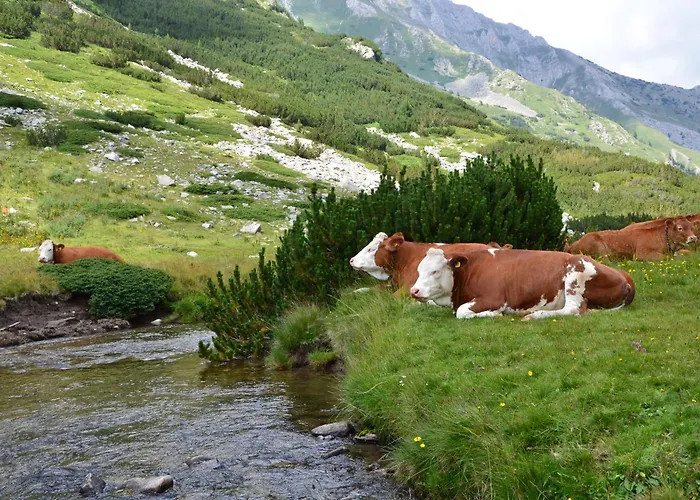 Apartmán Deluxe 200m From Road *